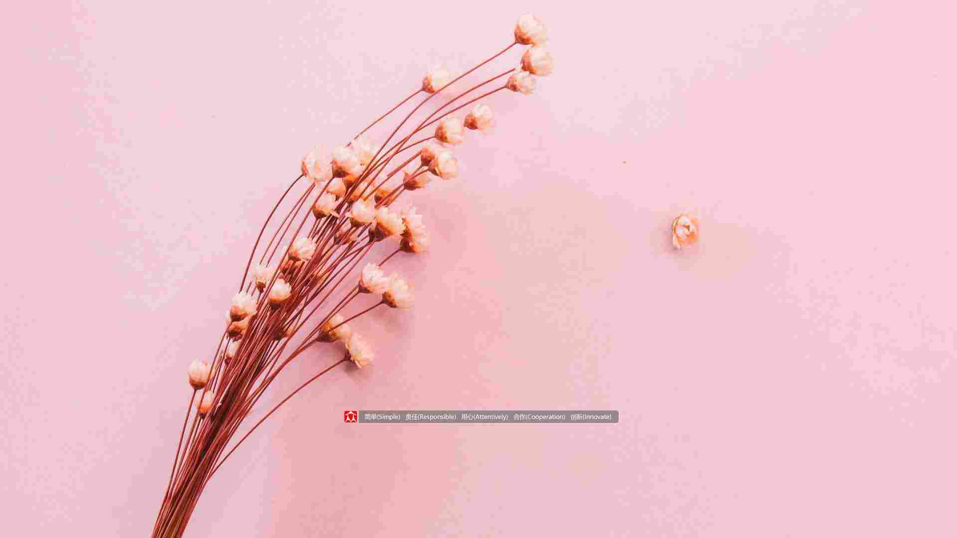 Non-standard brushless motor customization expert