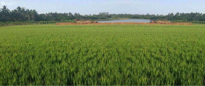 निर्माता प्रत्यक्ष बिक्री · मुफ्त योजना