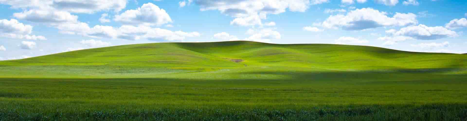 전기 구동기 전문가