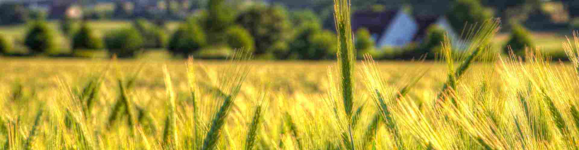 Especialista em Motores Sem Escova Personalizados Não Padrão 