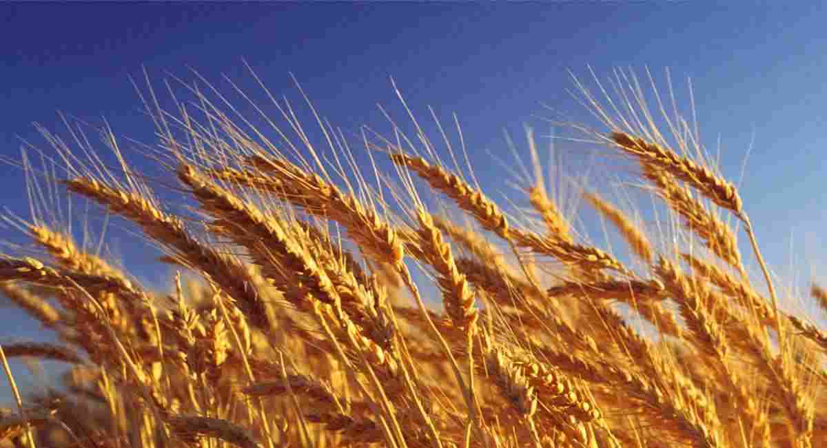 康帕尼电机直销