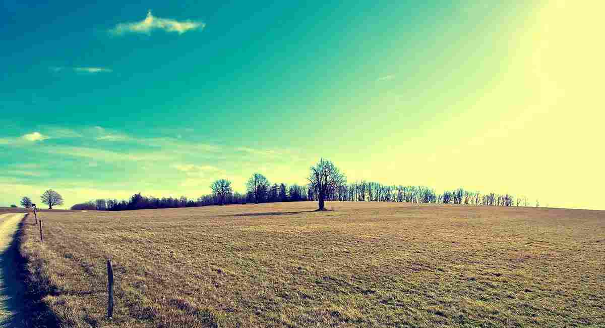 高效能电机驱动器
