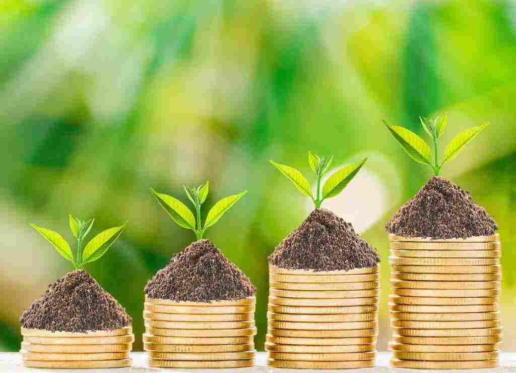 মোটর ড্রাইভার এক্সপার্ট ক্যাম্পানি 