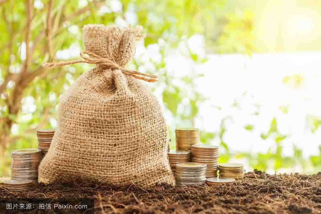 Bezszczotkowy silnik DC ekspert 