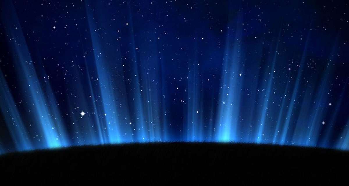 高效服务电机专家