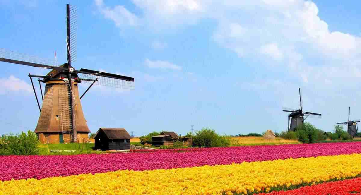 苏梅岛定制无刷永磁电机