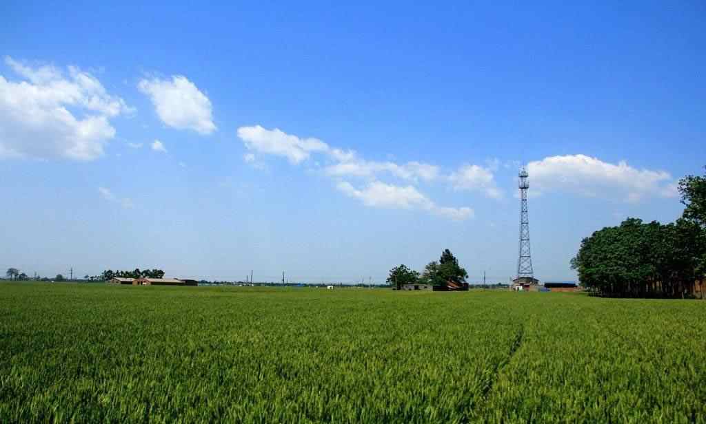 Kina tillverkad · Högprecisionsmikromotor 