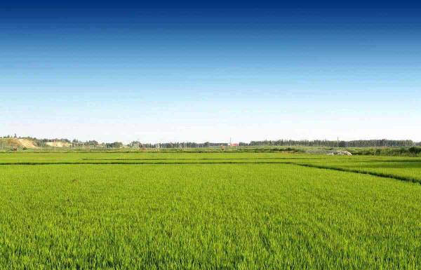 Производитель напрямую · бесплатные решения 