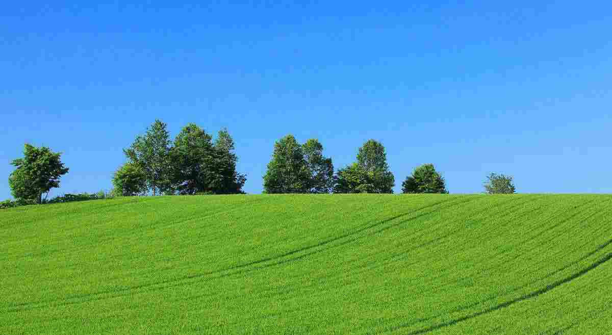 محرك متخصص للمحركات الكهربائية 