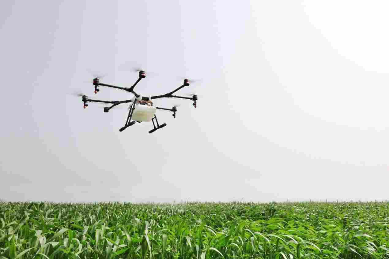 非标无刷电机定制专家