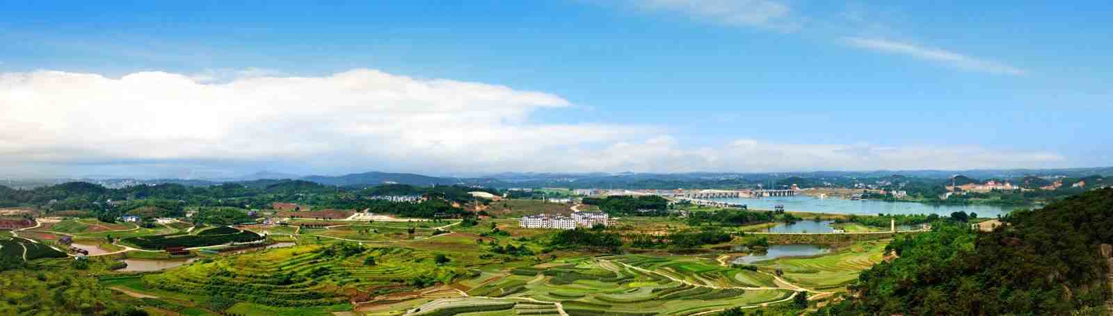 Factory Direct Sales · Free Solutions 