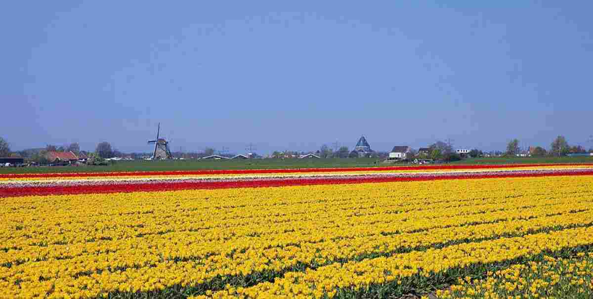 البيع المباشر من المصنع · حلول مجانية 