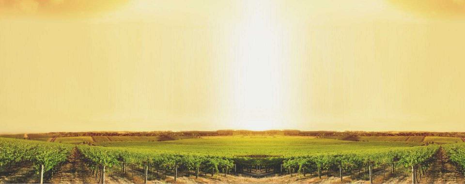 Spécialiste de la fabrication de moteurs sans balais non standard 