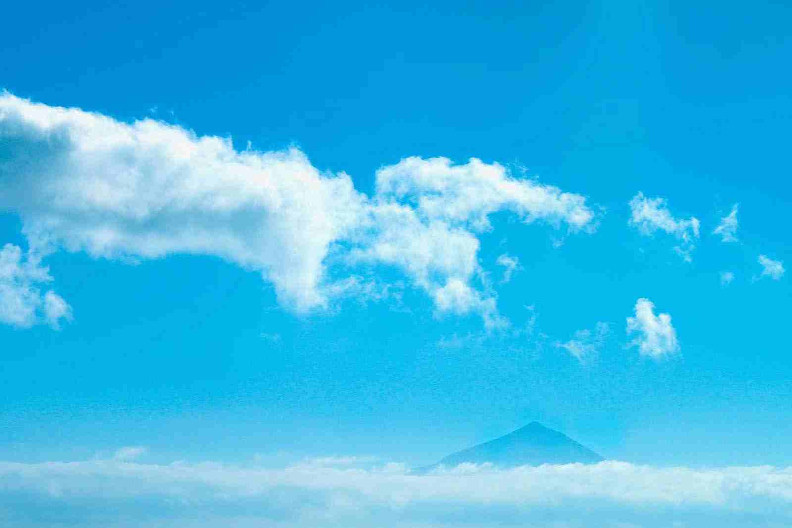 高效售后·极速交付