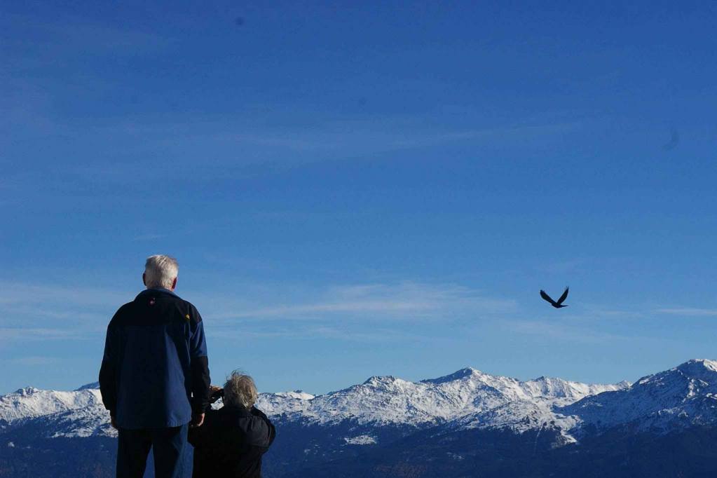 Especialista em motores sem escova personalizados não padrão 