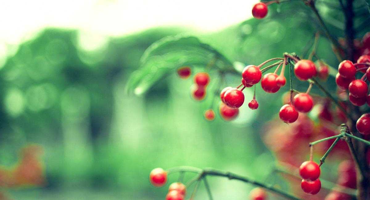 전기모터 전문가