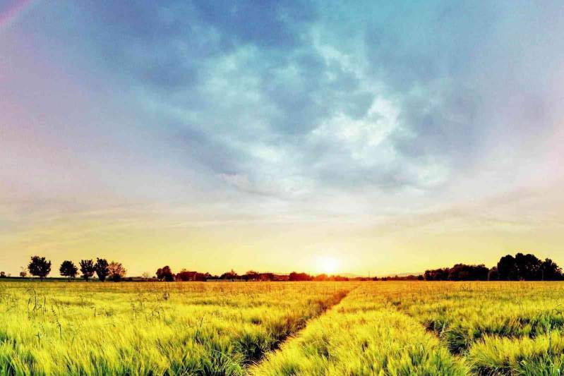 メーカー直販・無料案内