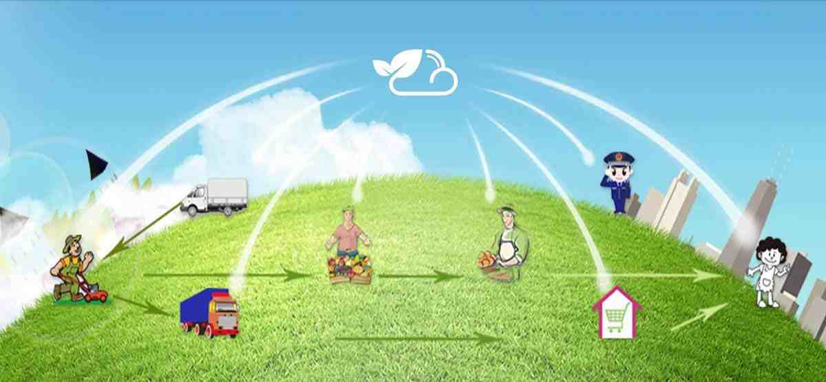 무 브러시 DC 모터