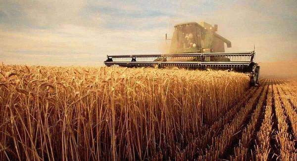 Vente directe usine · Solution gratuite 