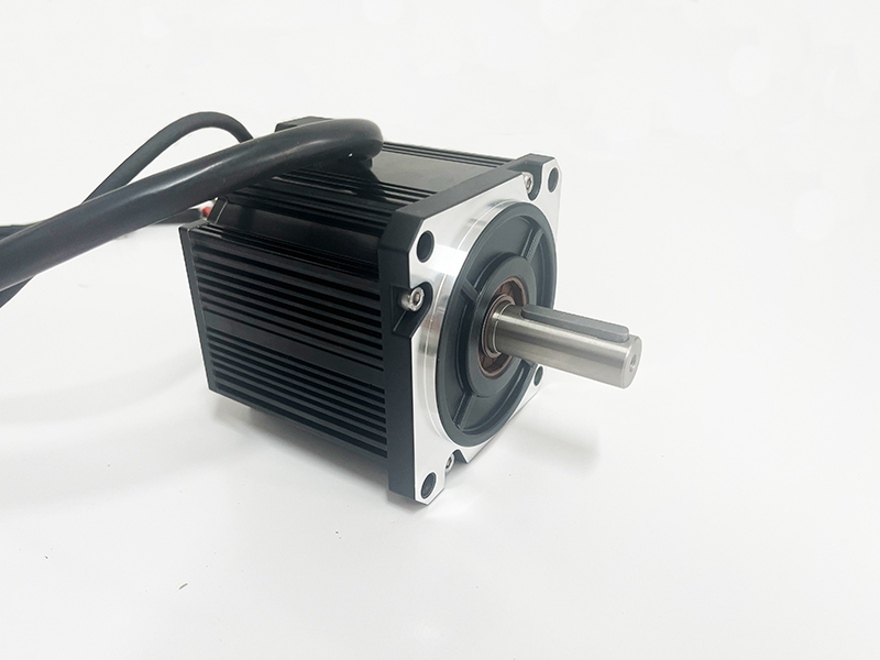 110DC servo motor